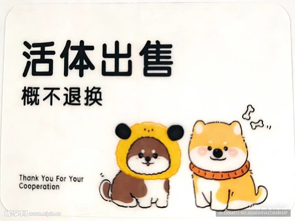 活体宠物出售概不退换