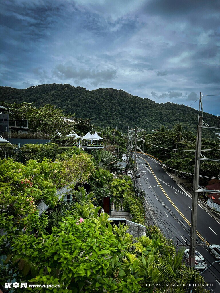 山间公路旁的葱郁景致