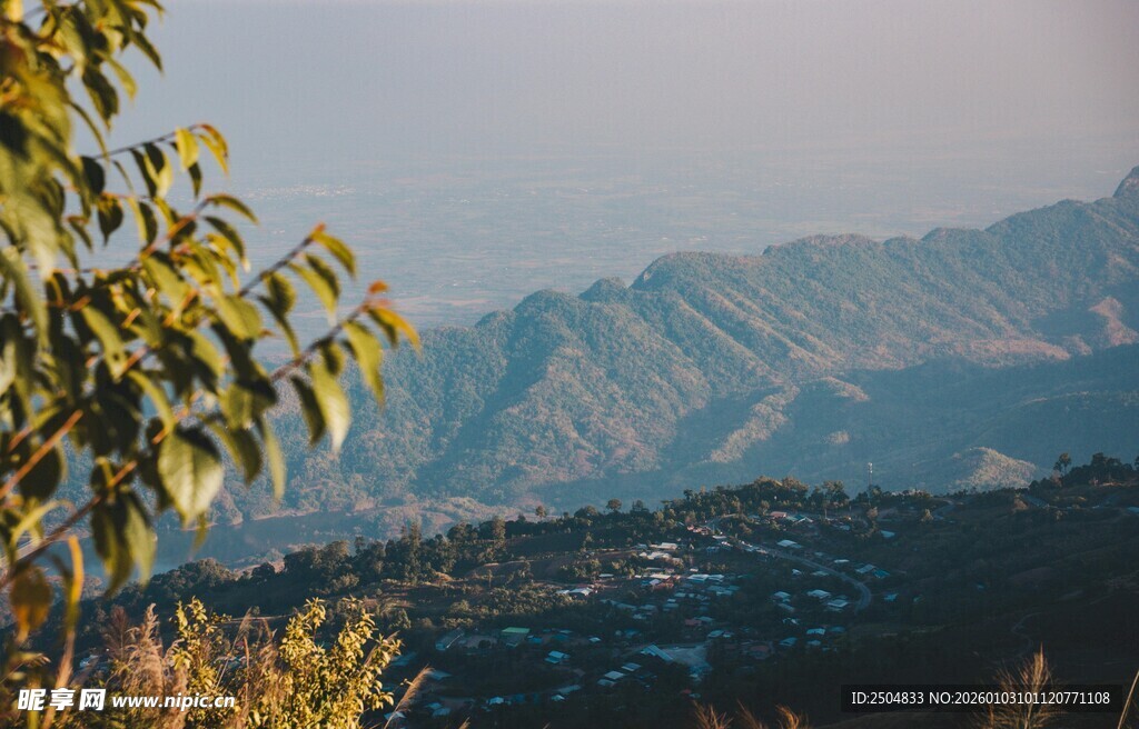 山间美景 绿叶伴远山