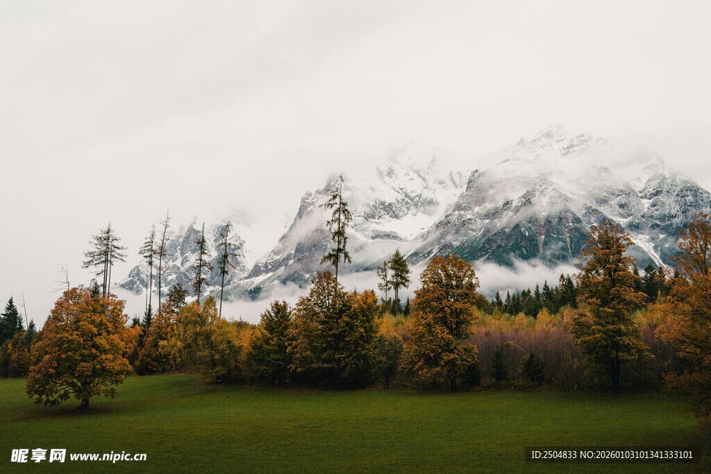 秋日雪山下的多彩树林