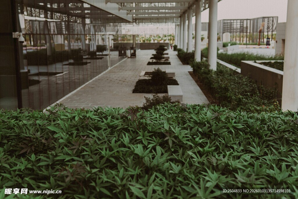 现代庭院绿植景观