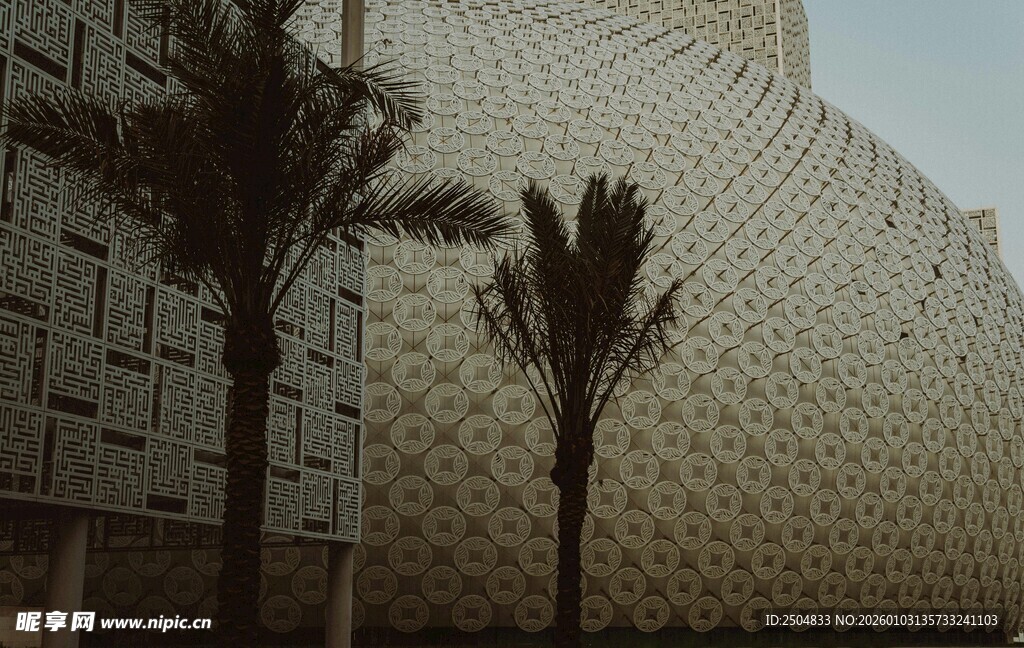 现代建筑旁的棕榈树