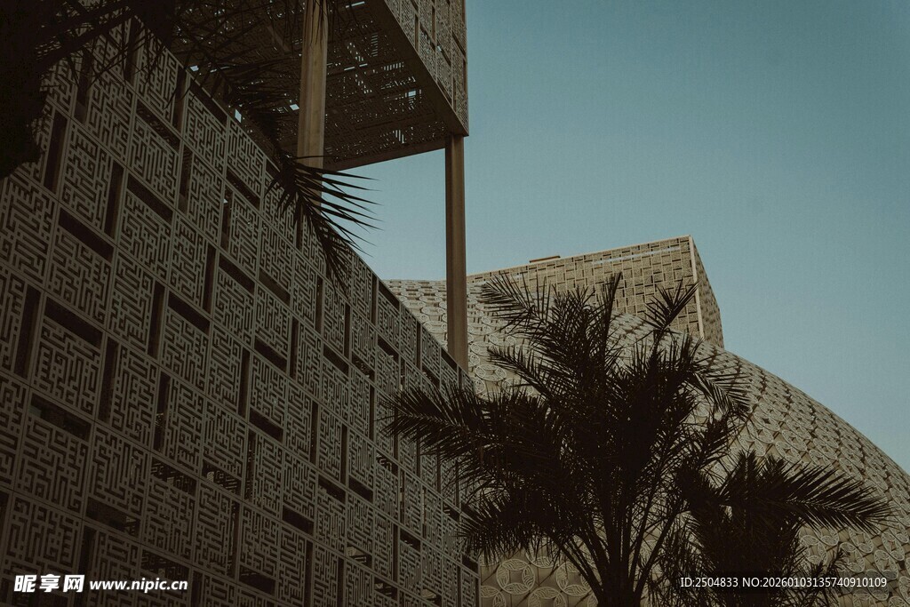 现代建筑旁的棕榈树景观
