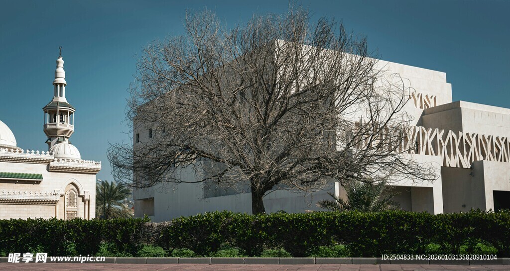 现代建筑旁的树木与尖塔