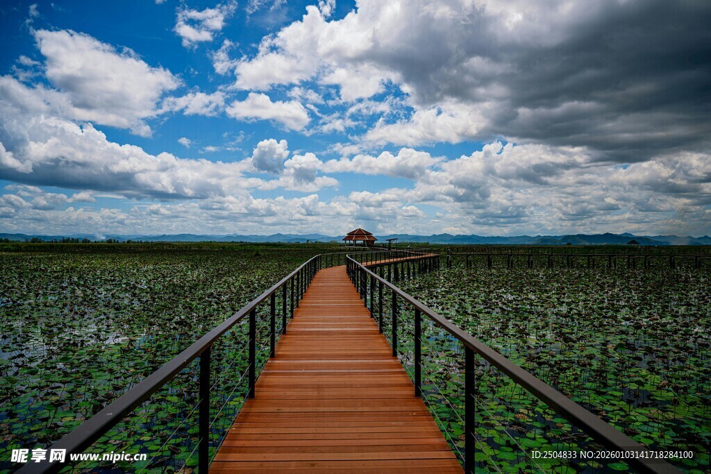 漫步木栈道 赏湿地风光