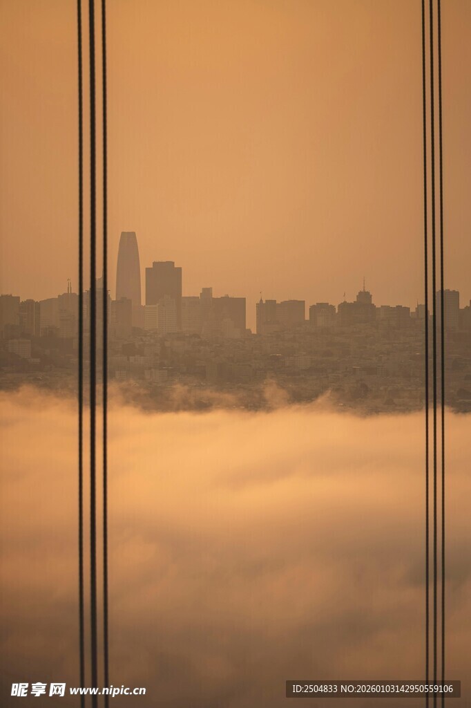 雾中城市天际线景观