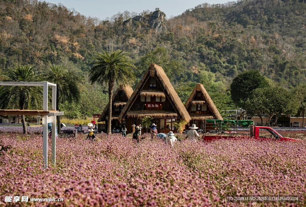 花海中的特色木质建筑