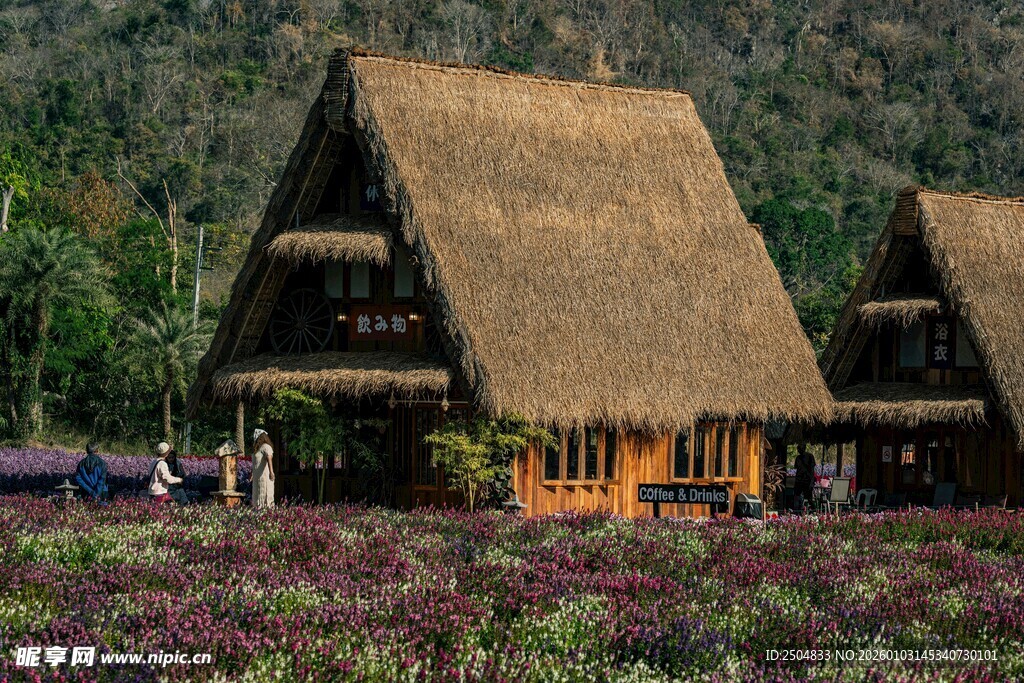田园茅草屋旁的绚烂花海