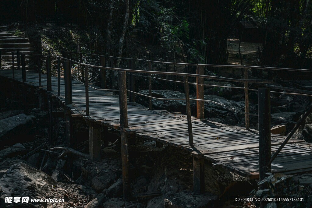 林间木质栈道景观