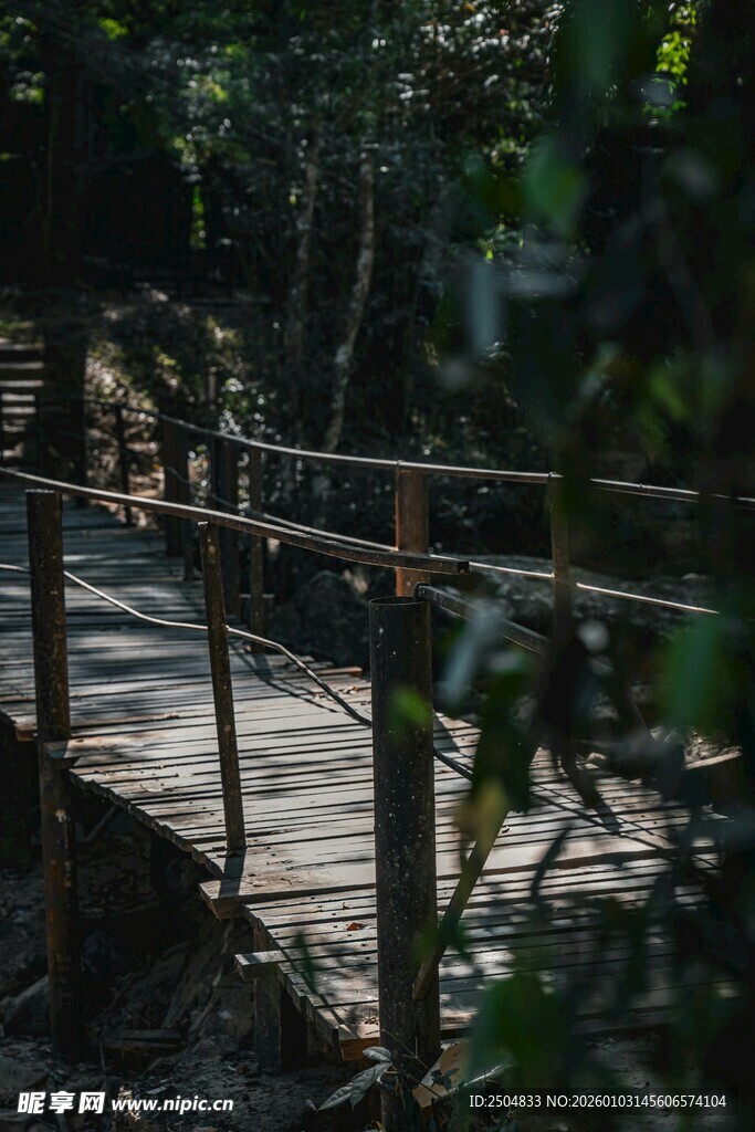 林间木栈道 自然静谧处