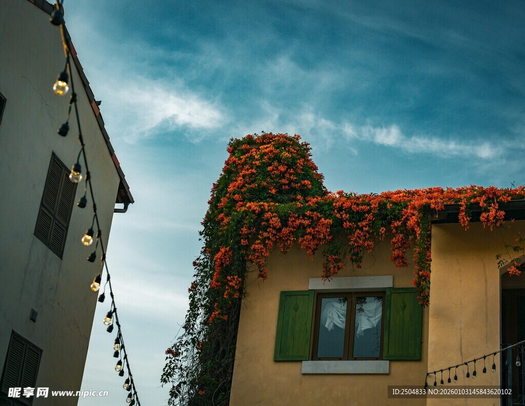 屋顶繁花装点的温馨小屋