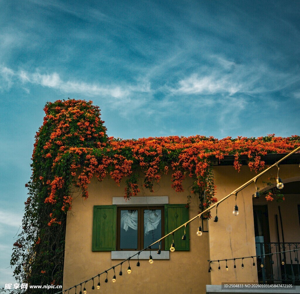 屋顶繁花盛开的温馨小屋