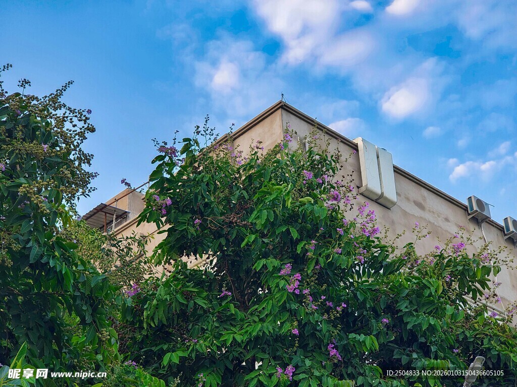 被绿植环绕的古老建筑