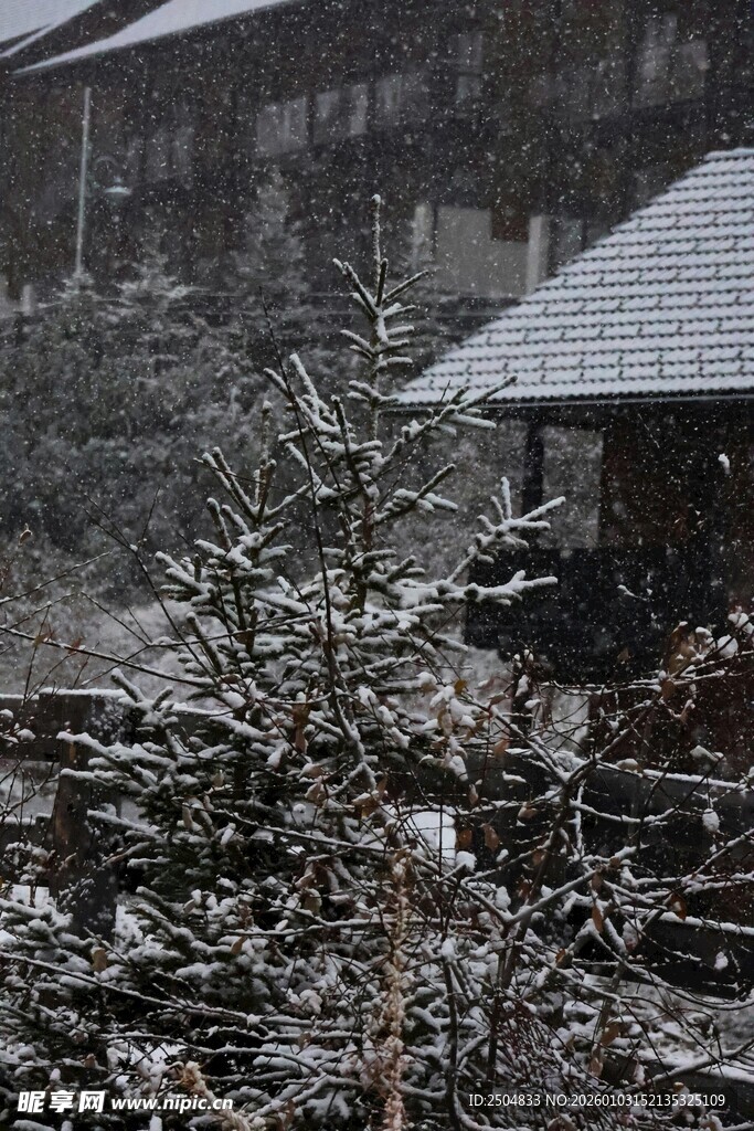 雪覆山林中的古朴小屋