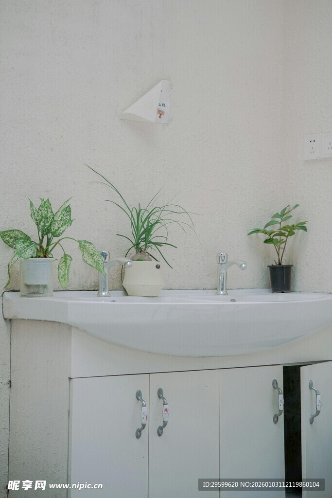 简约洗手台旁的绿植点缀