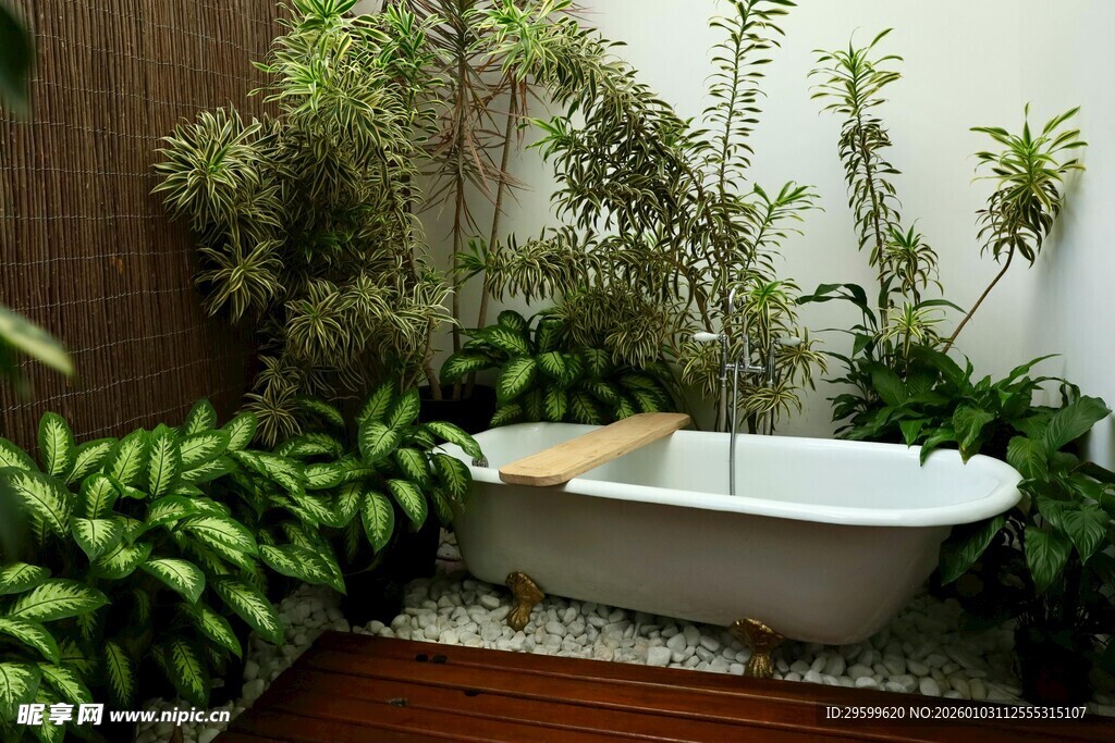 室内绿植环绕的浴缸空间