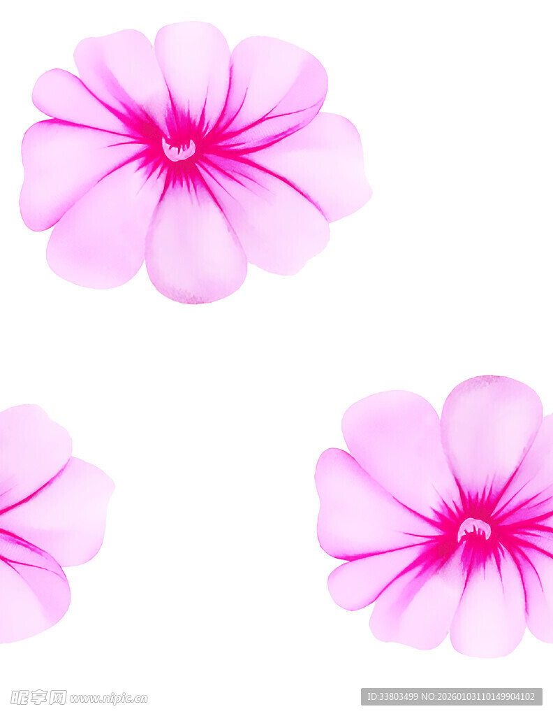 三朵粉色美丽矮牵牛花