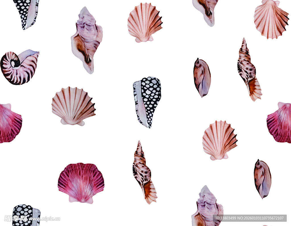水彩贝壳图案 清新海洋风