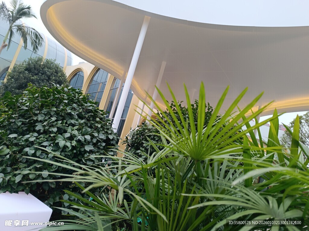 户外绿植景观一角