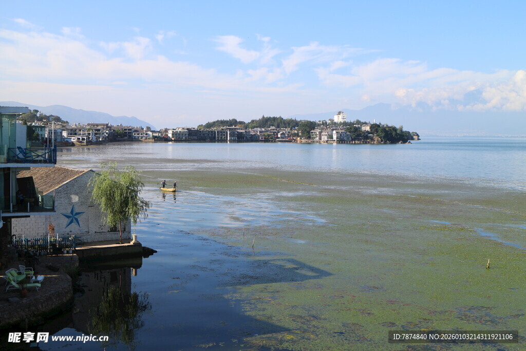 湖畔景致 水面泛绿的宁静画面