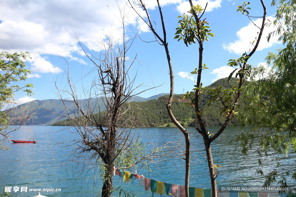 湖畔风光 枯树经幡伴碧水