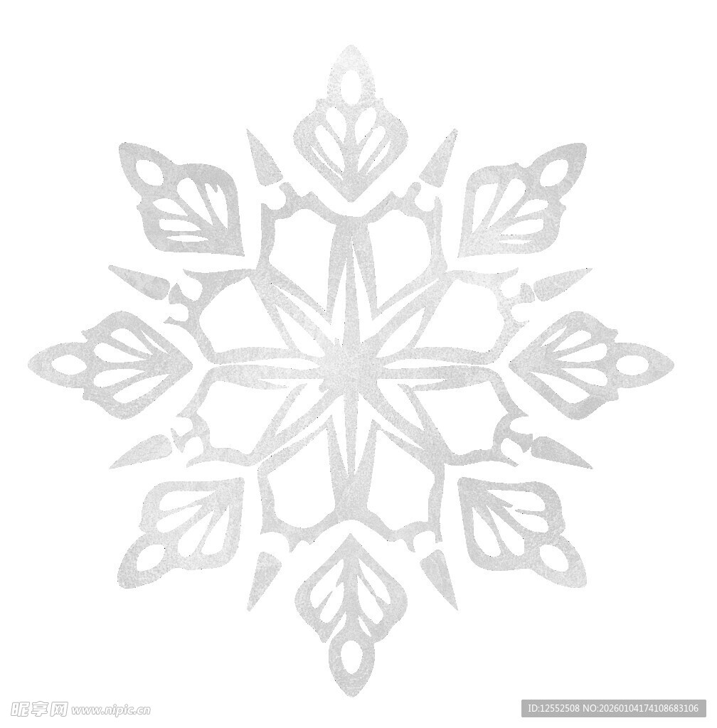 精致雪花图案设计元素