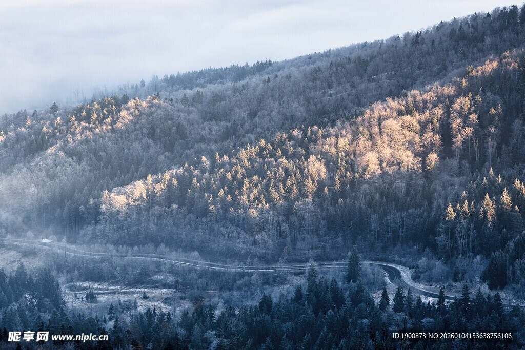 冬日山林雪景风光