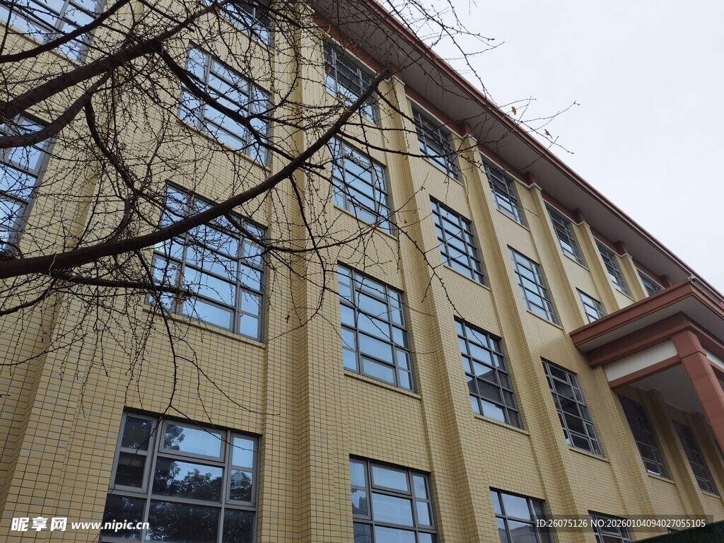 黄色多层建筑外观