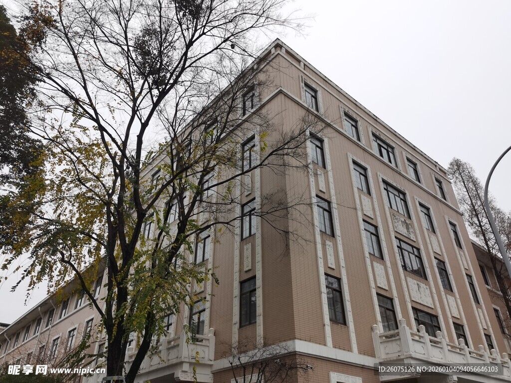 城市中的多层建筑外观