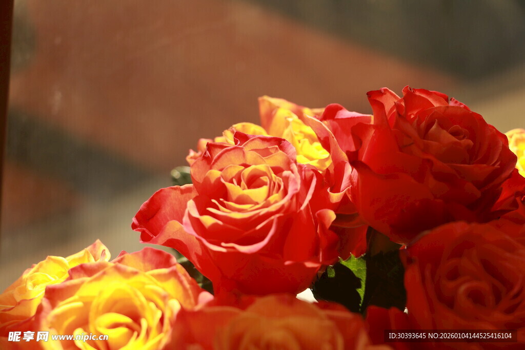 鲜艳多彩玫瑰花束