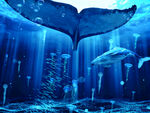 梦幻海底鲸鱼尾巴景观