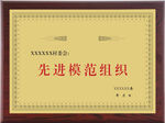 先进模范组织