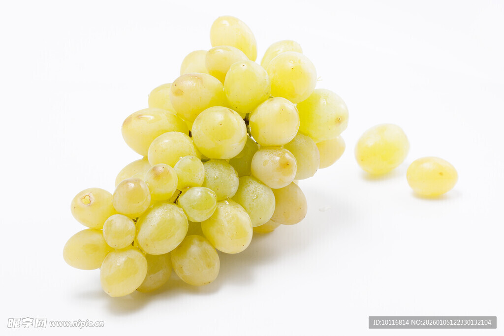 白葡萄