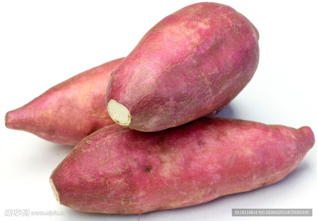 红薯