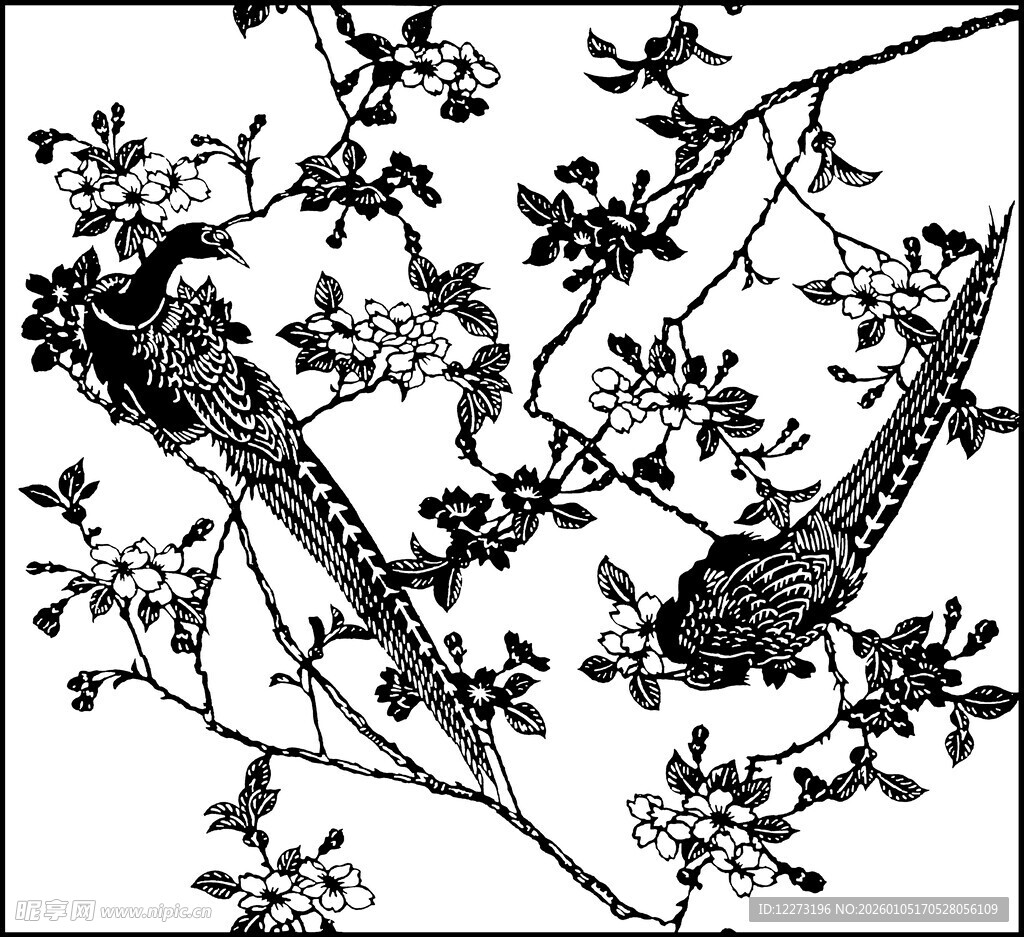 枝头双鸟黑白工笔画