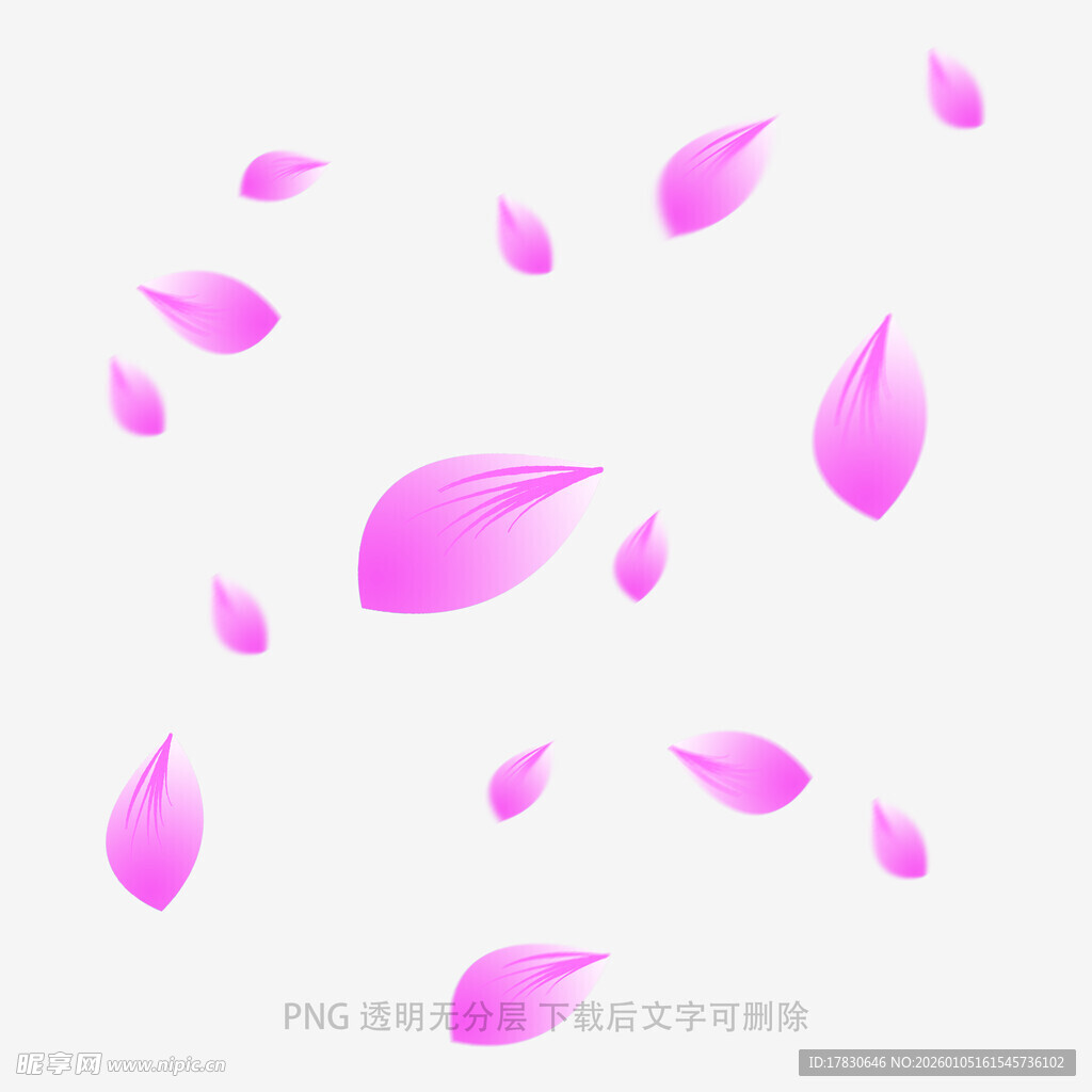 飘落的粉色花瓣