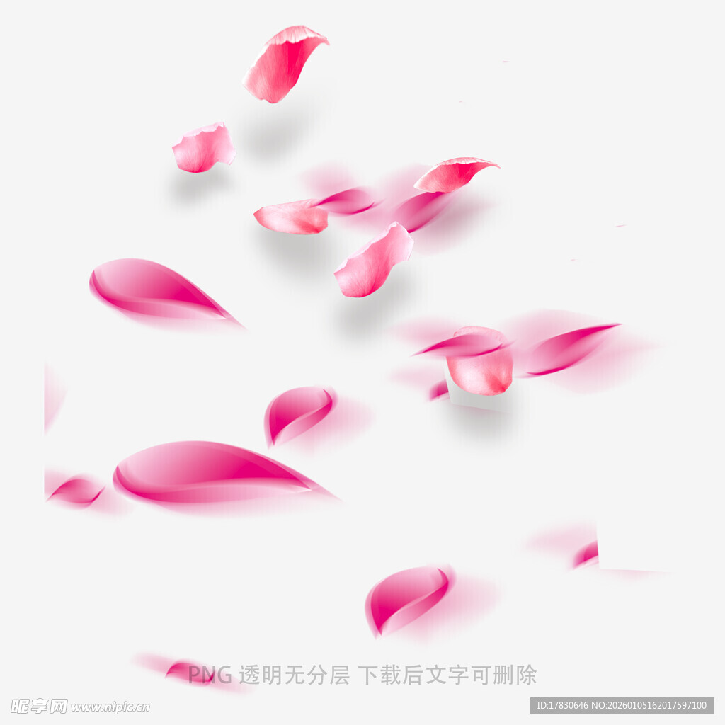 飘落的粉色花瓣唯美画面