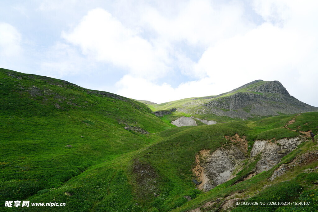 长白山西坡高山草甸