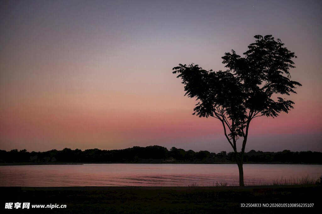 湖畔孤树映晚霞