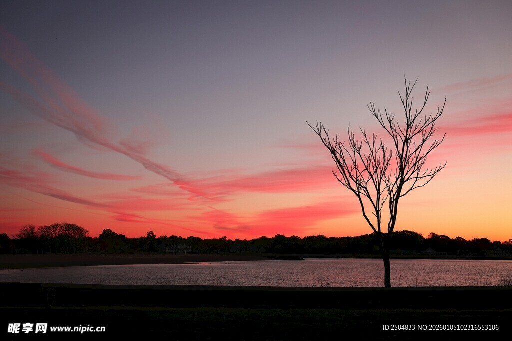 夕阳下的孤树与绚烂天空