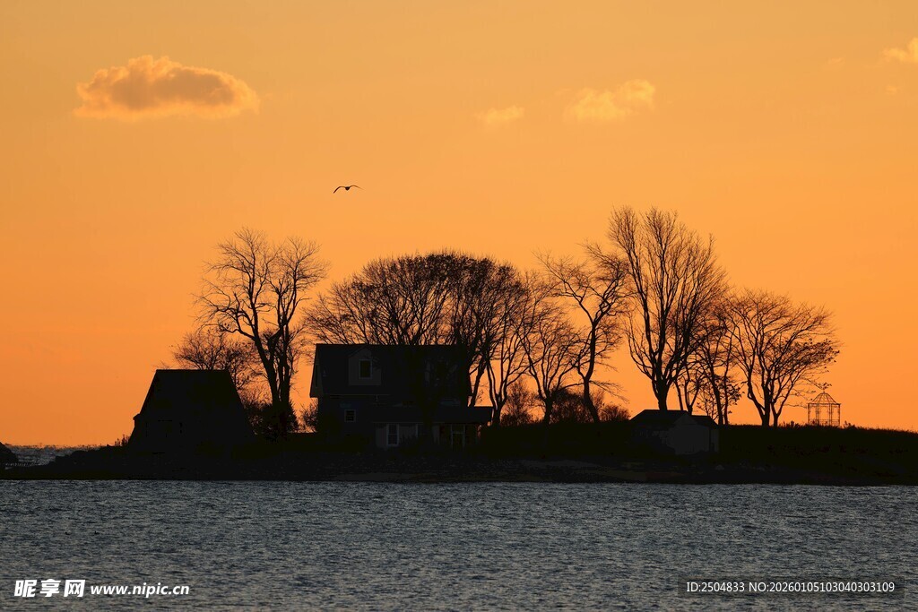 夕阳下的岛屿与树木景观