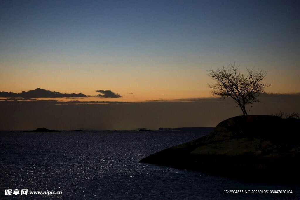 黄昏孤树海滨美景