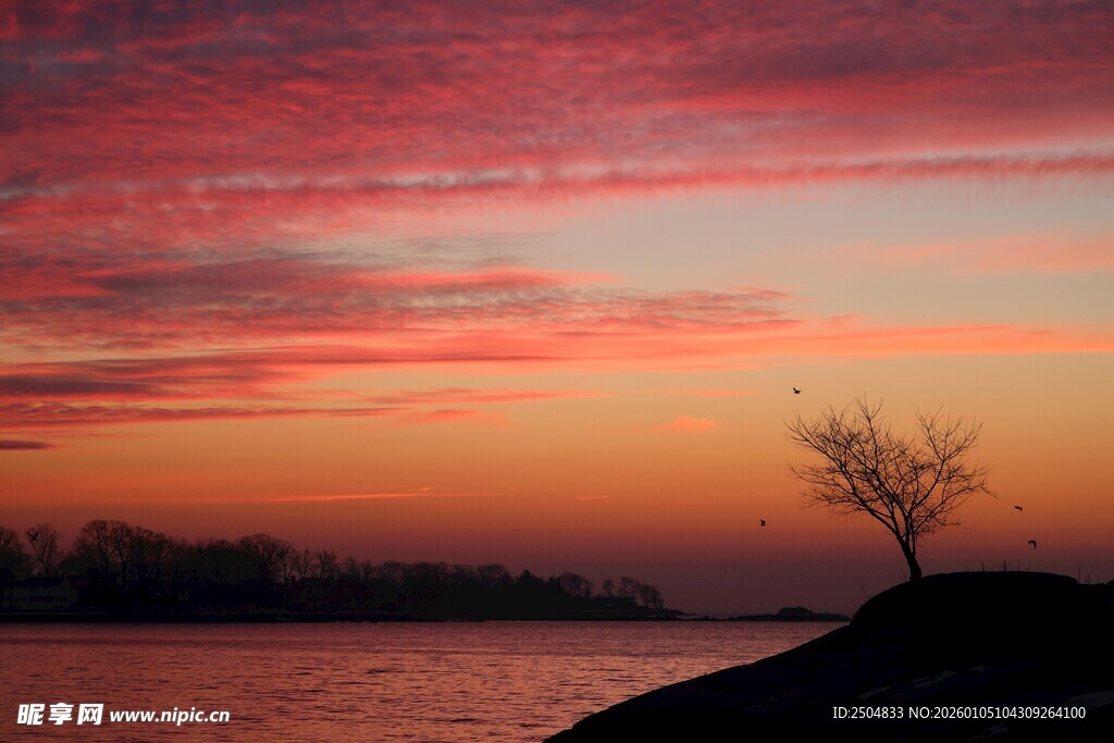 湖畔孤树映晚霞