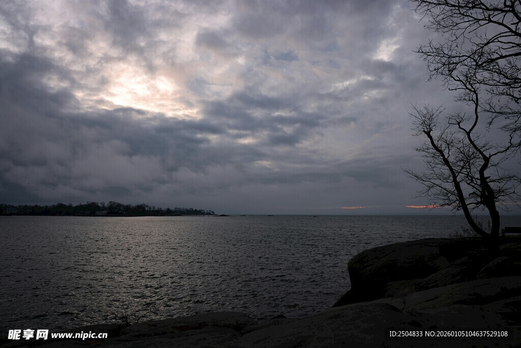 黄昏湖畔 孤树伴云景