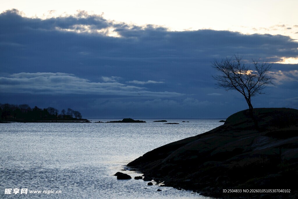 湖畔孤树映晚霞