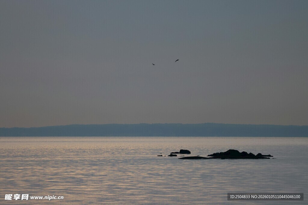 海上孤礁与飞鸟景致