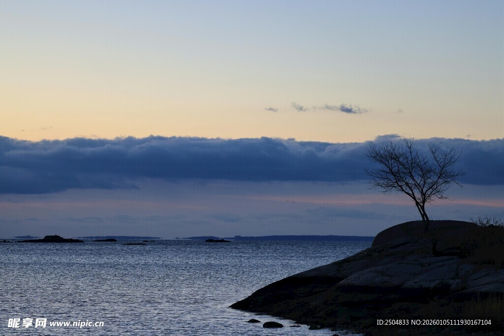 海边孤树迎黄昏