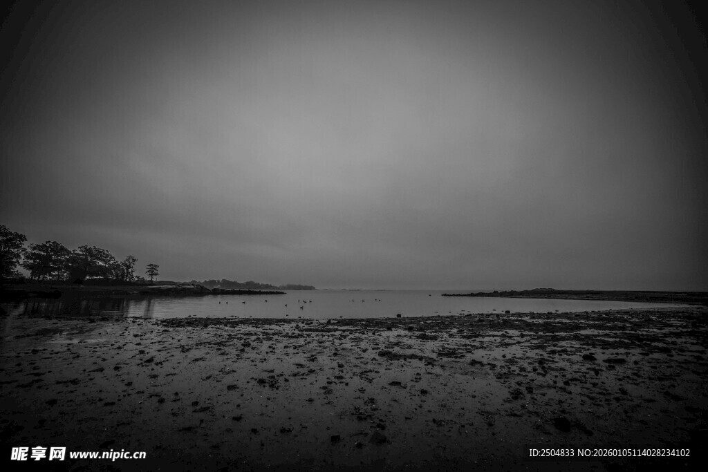 黑白海边景象