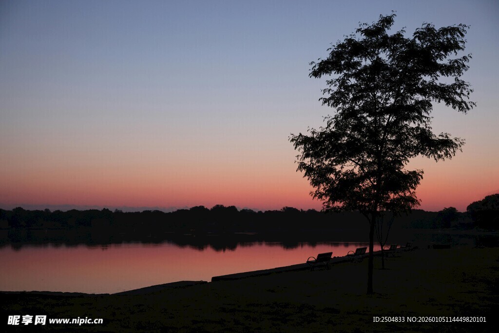 湖畔黄昏树影