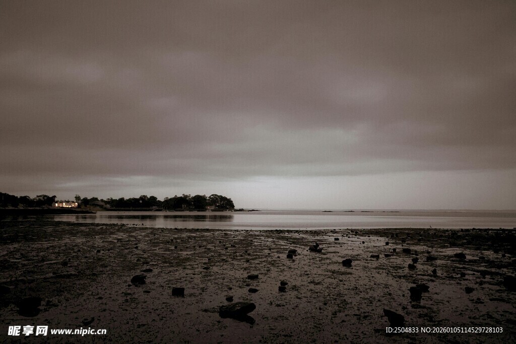  沉海岸 静谧滩涂景象